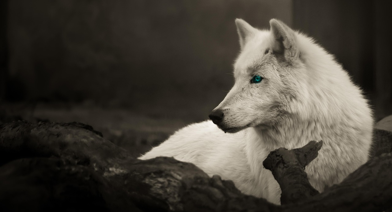 Cross-Border Wealth is Becoming More Complex and Demands a Global Perspective