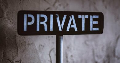 The Rise of Private Credit in Emerging Markets